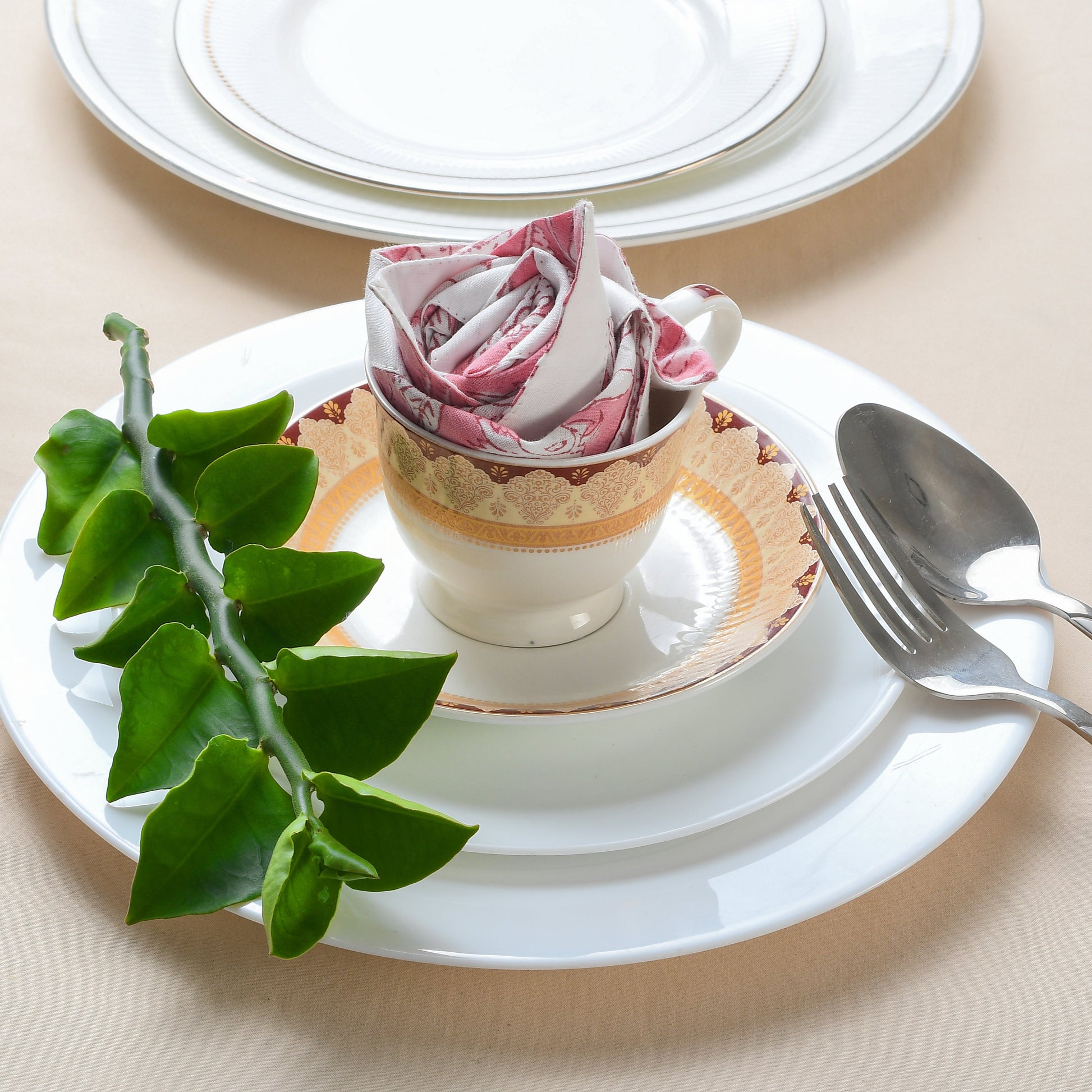 Cotton Cloth Napkins - Plain Border Mix