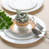 Rolled multicolor napkin on white plate with green foliage and fork.